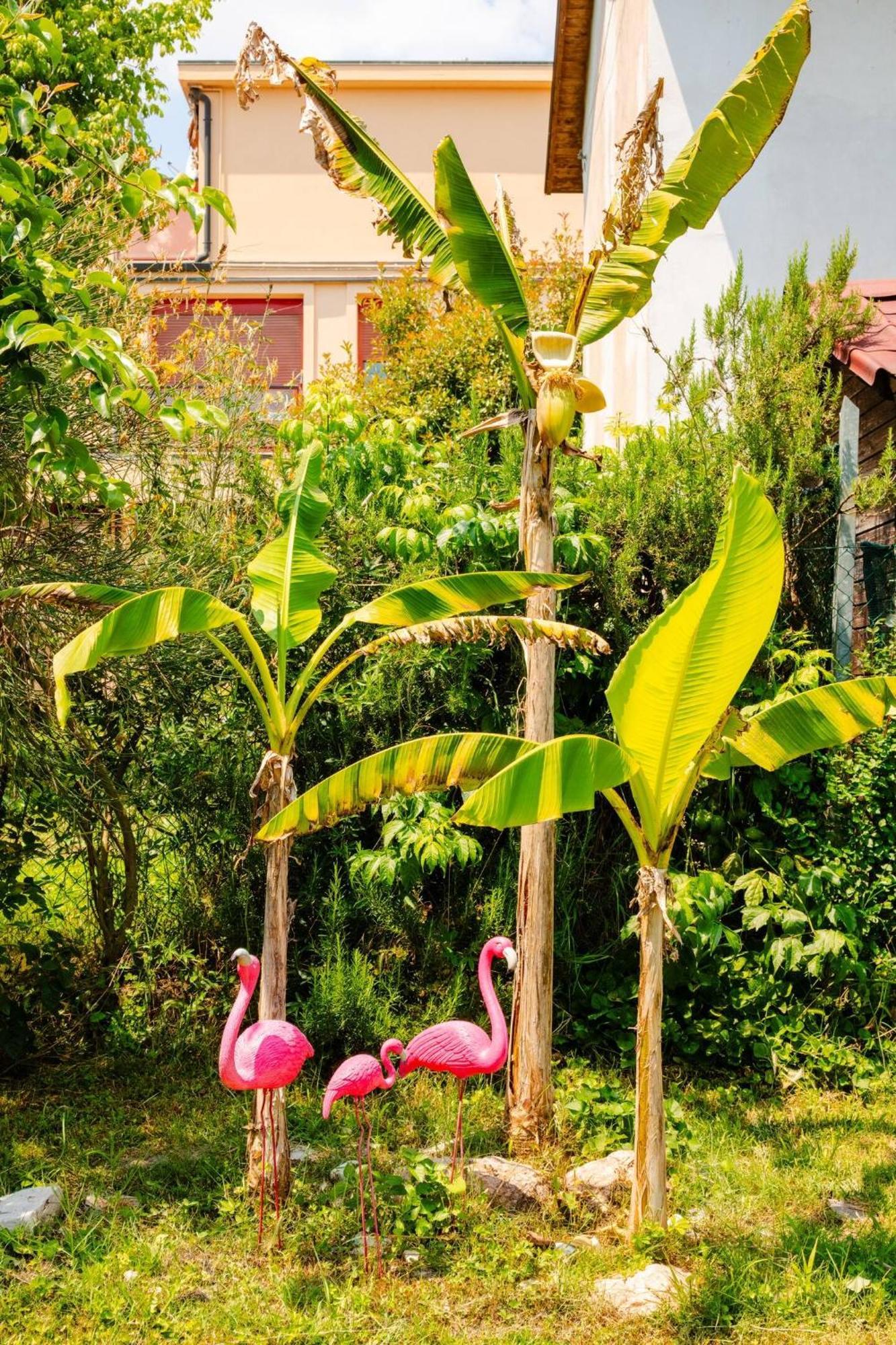 Garden Loft Baricella Exterior foto